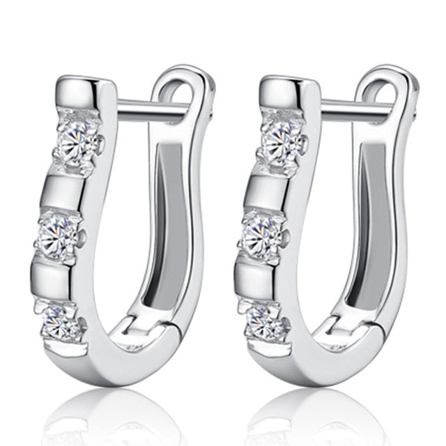 Fanqieliu Sterling 925 Silver Earrings Natural Crystal Small Flower Hoop Earrings For Woman FQL3235