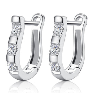 Fanqieliu Sterling 925 Silver Earrings Natural Crystal Small Flower Hoop Earrings For Woman FQL3235